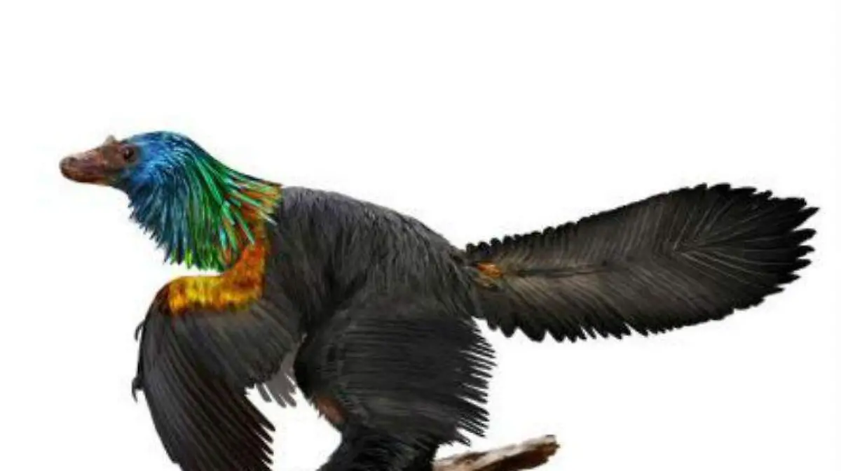dinosaurio arcoiris
