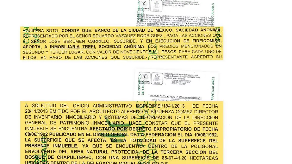 Documento Bosque de Chapultepec