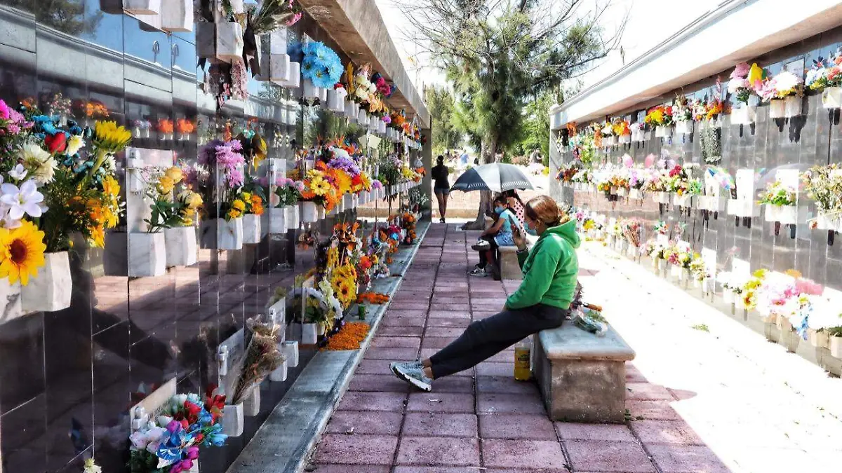 WhatsApp Image 2022-11-02 at 14.48.18