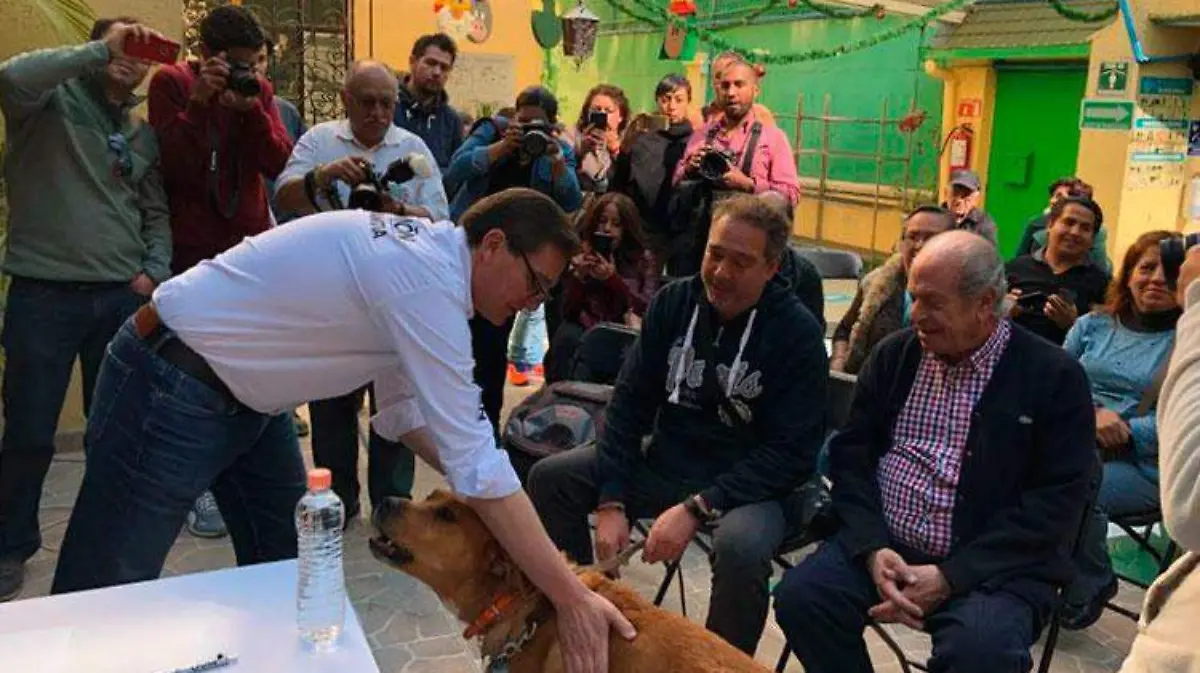 salomon-Chertorivski