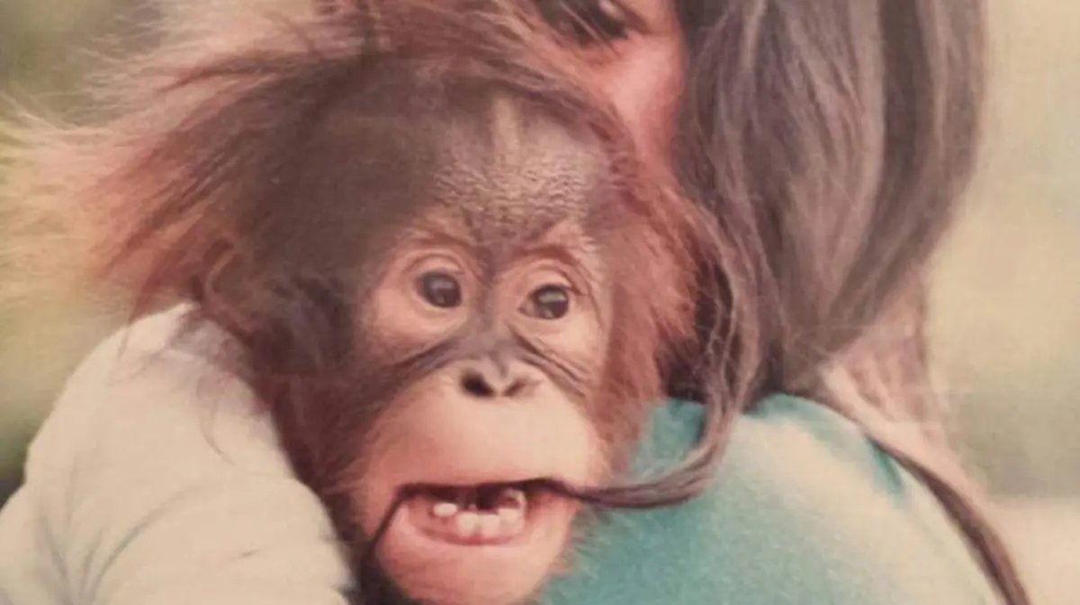 cortesía MARIA ELENA HOYO (1)