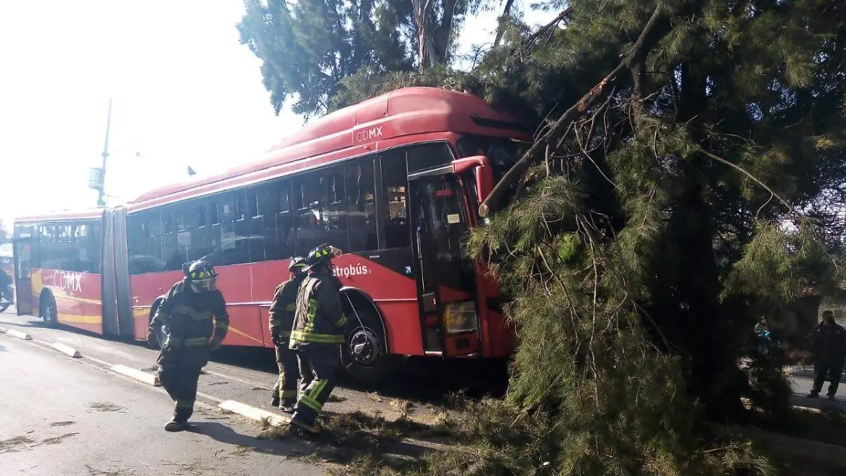 Metrobús choca contra árbol en la GAM