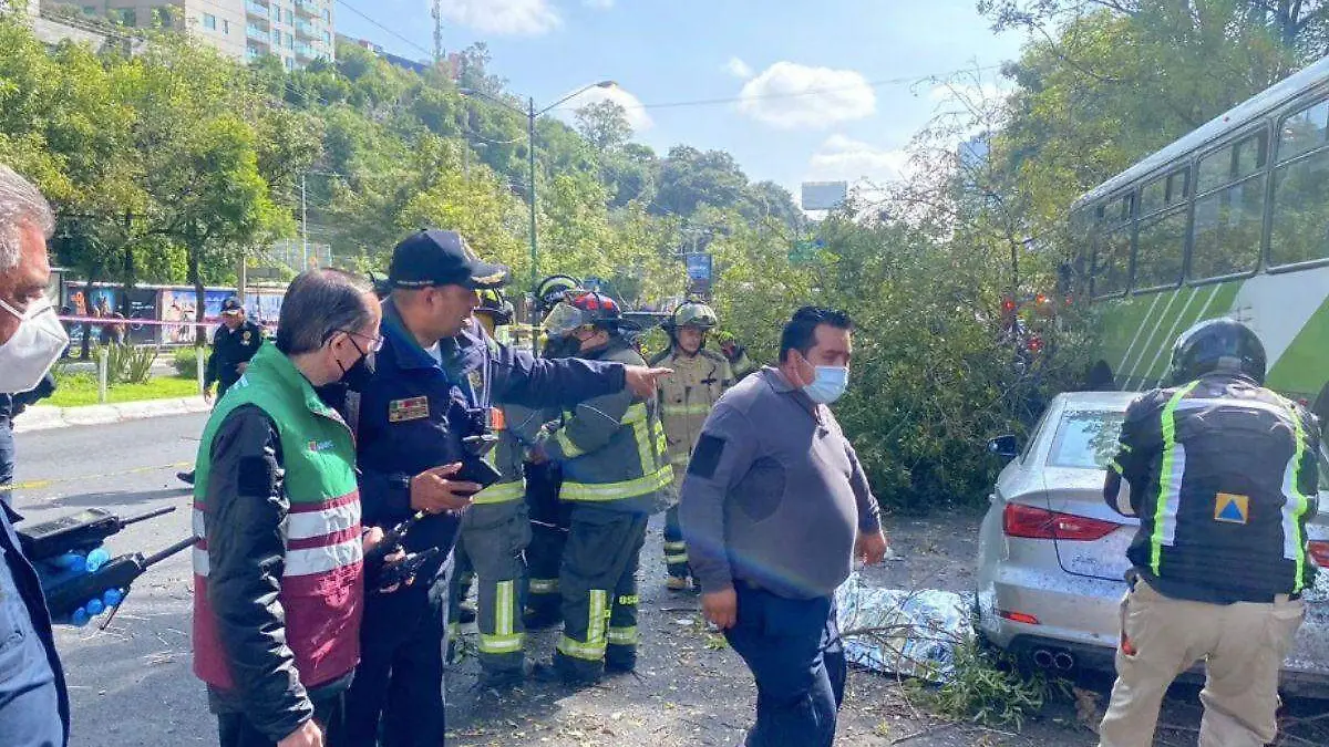 Diseño sin título (2)