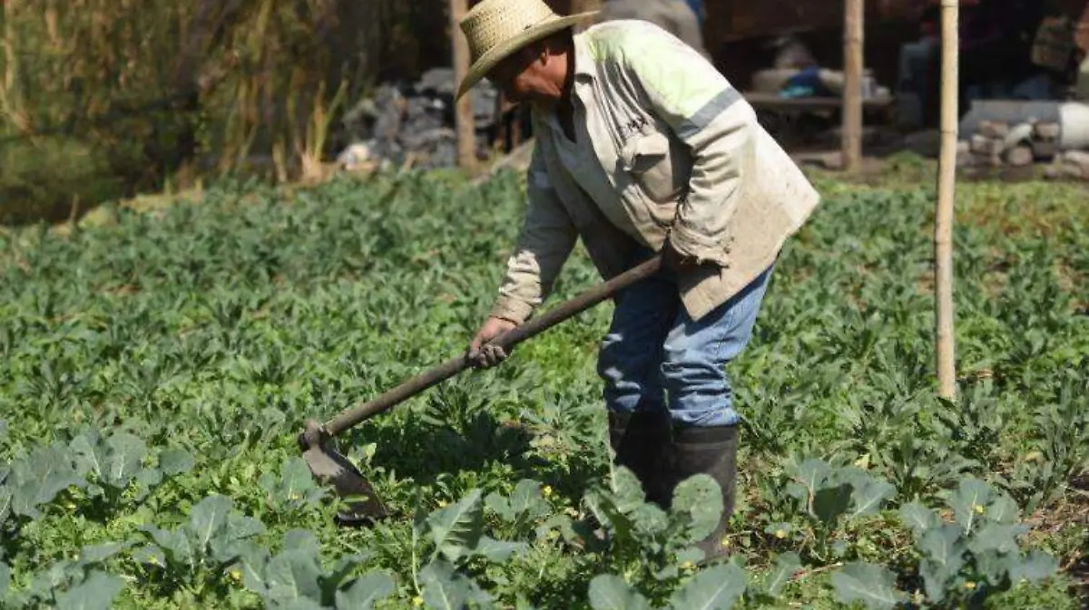 agricultores2