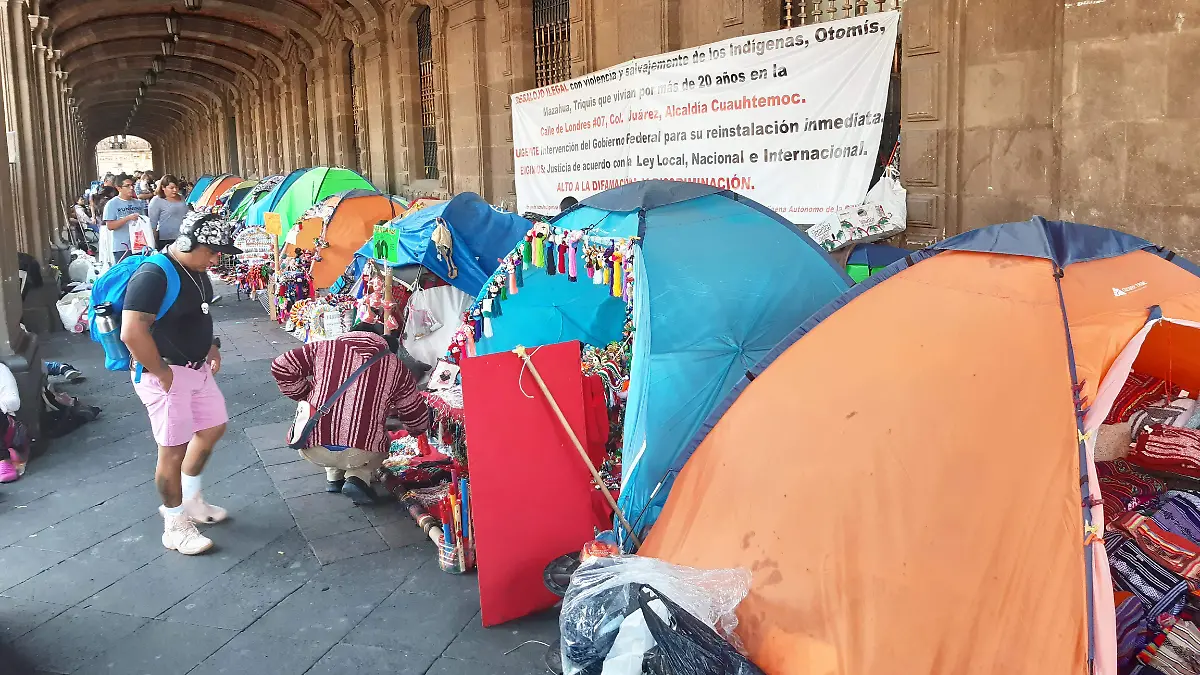 AMBULNATES EN PARO.. ZOCALO.. DANIEL GALEANA  (3)
