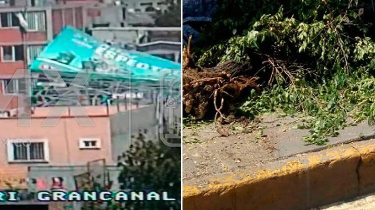 espectacular-gam-arbol-iztapalapa
