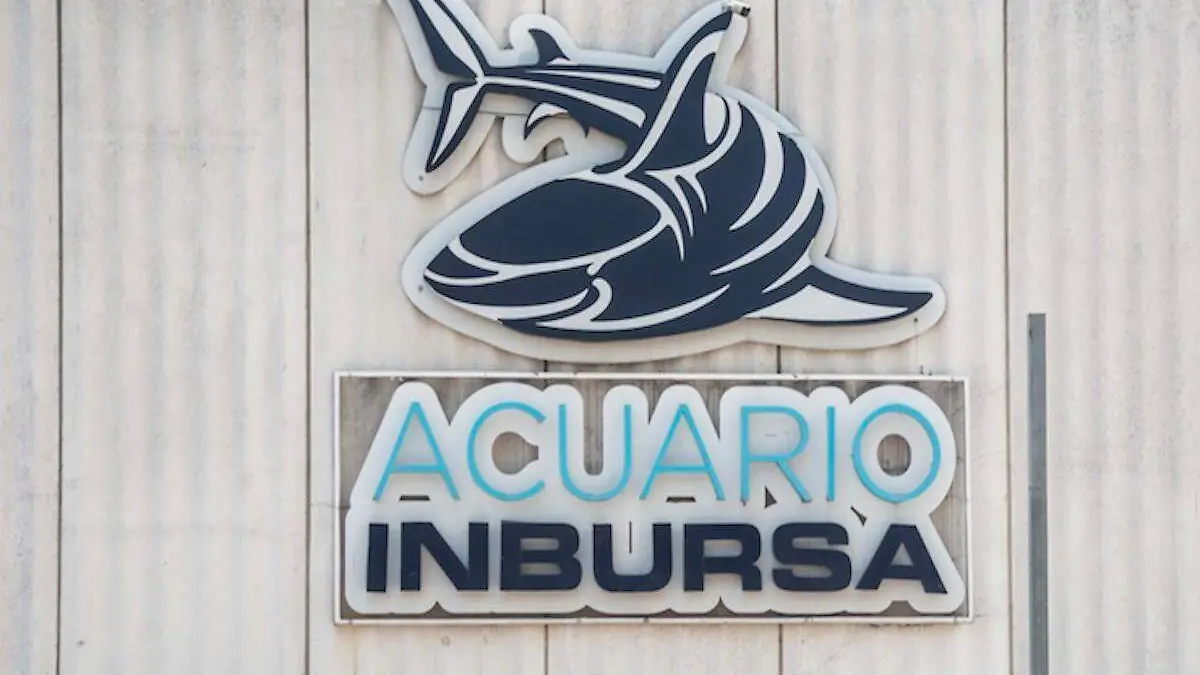 Bióloga se habría ahogado en uno de los tanques del Acuario Inbursa
