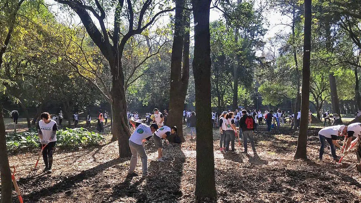 Bosque de chapultepec