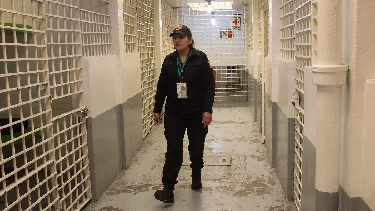 Torito CDMX 60 conductores remitidos en Año Nuevo