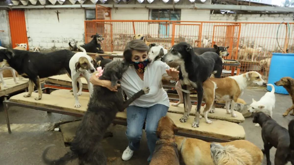 Captura de pantalla 2022-04-04 a la(s) 04.04.09