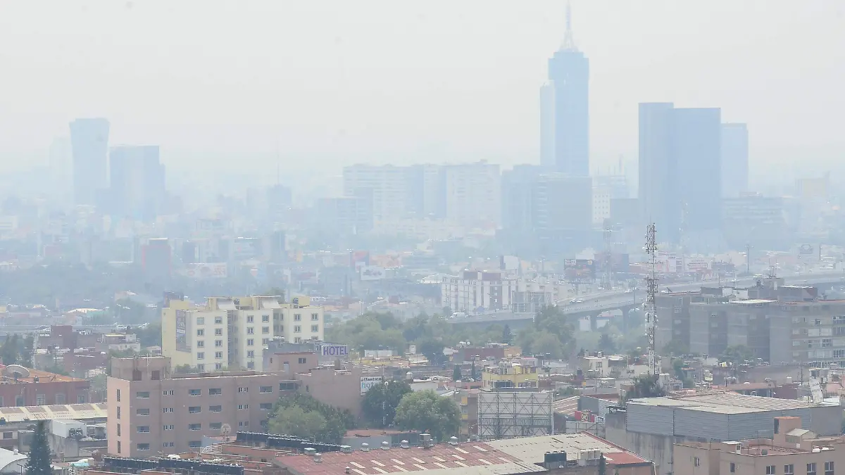 Contaminación