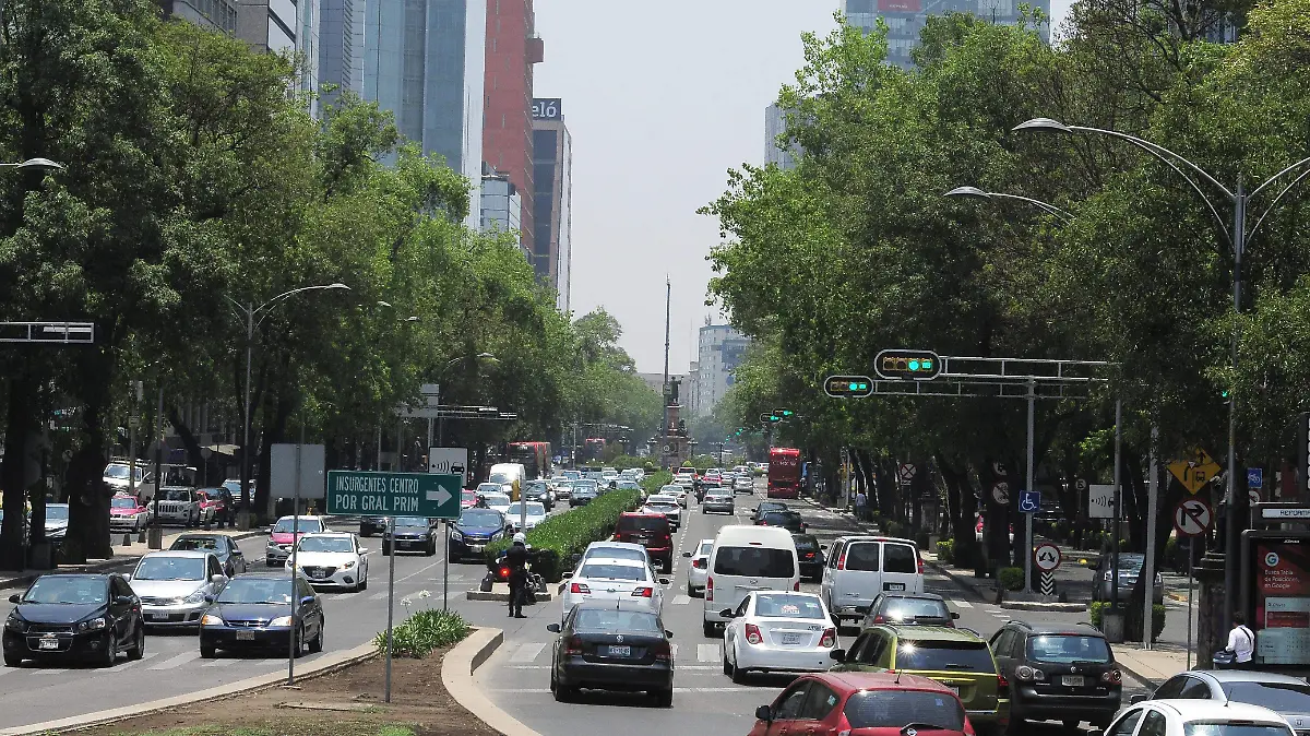 Contaminación