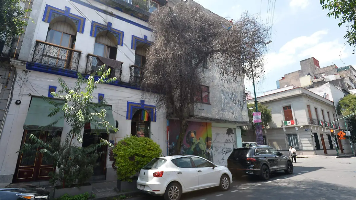 ARBOLES ENFERMOS-PODADOS-RETIRO-CDMX-daniel hidalgo (1)