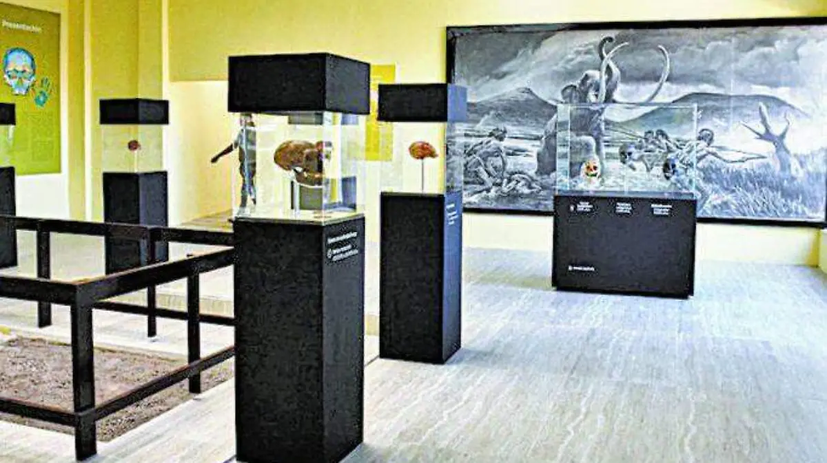 Museo Tepexpan