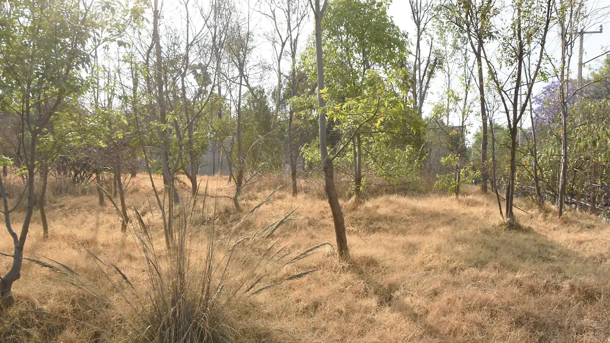 Predio Lomas de chapultepec1