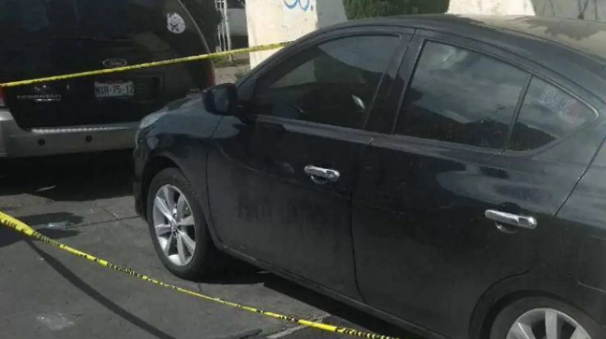 ESPECIAL - cuerpos auto bosques de aragon