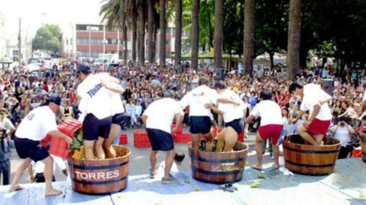 Fiesta-vendimia-uvas