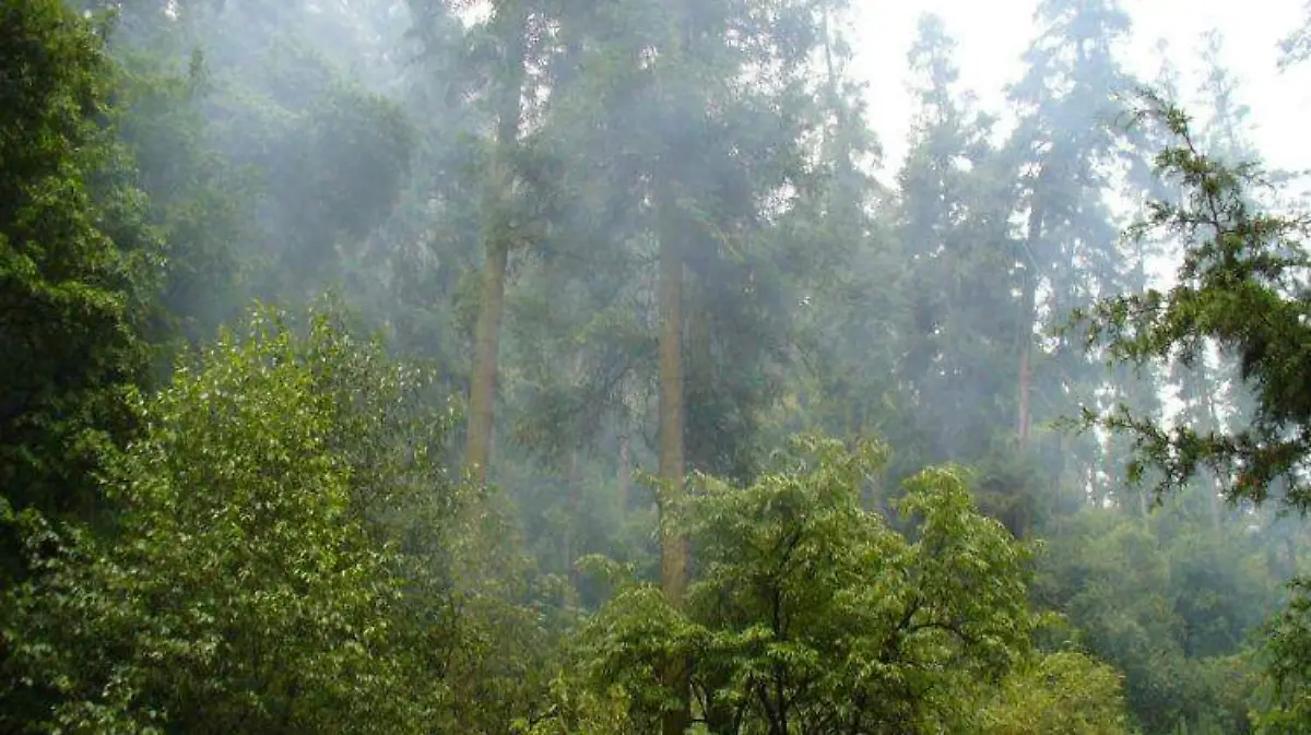 los azufres foto El Souvenir 006