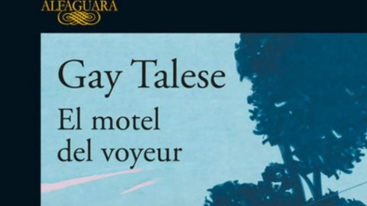 Motel-voyeur-talese