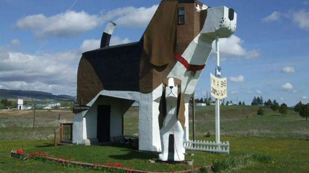 Hotel-curioso-dogbarkpark