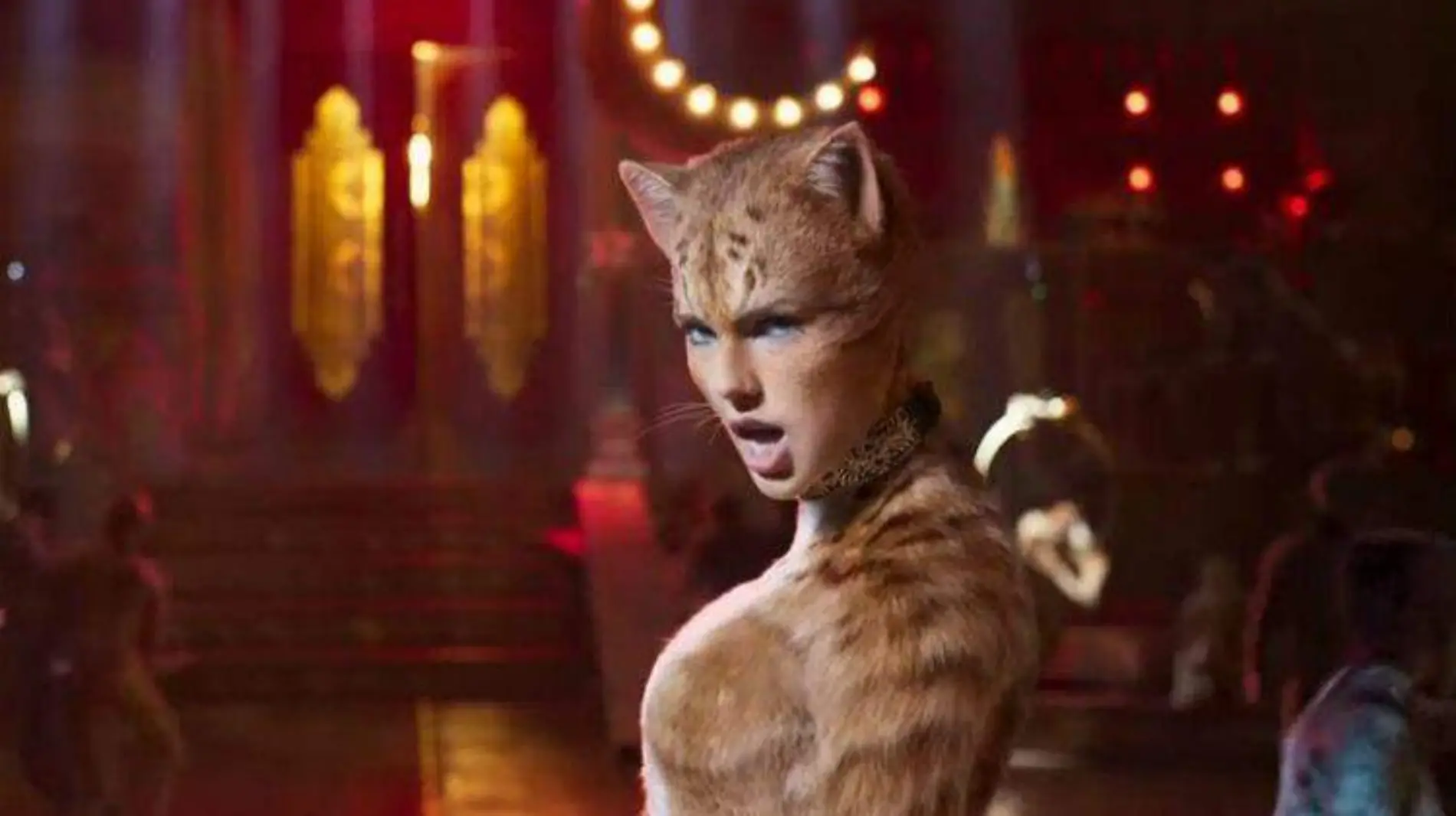 taylor-swift-cats-ESPECIAL