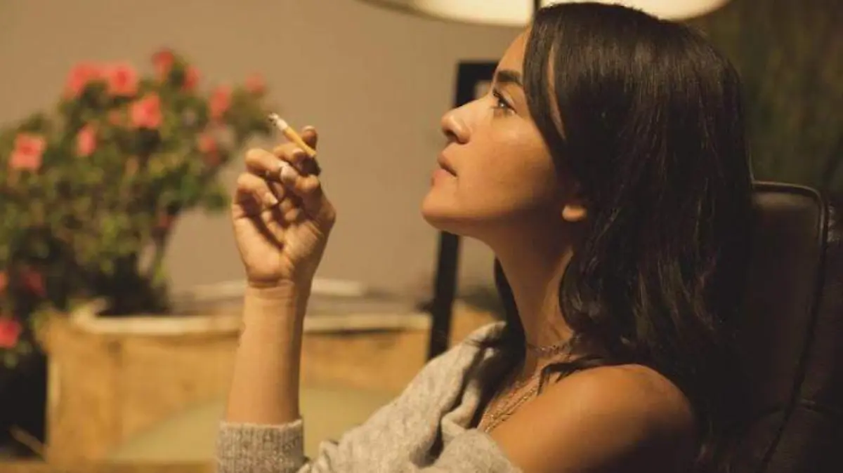 Pelicula Mecase con un idiota