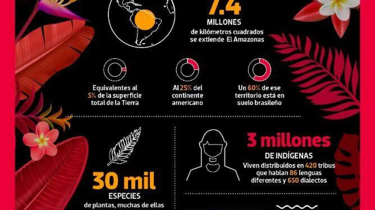 Amazonas infografía 