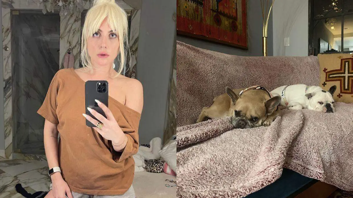 Hombre que robó a dos perros de Lady Gaga pasará 21 años en prisión por dispararle su paseador