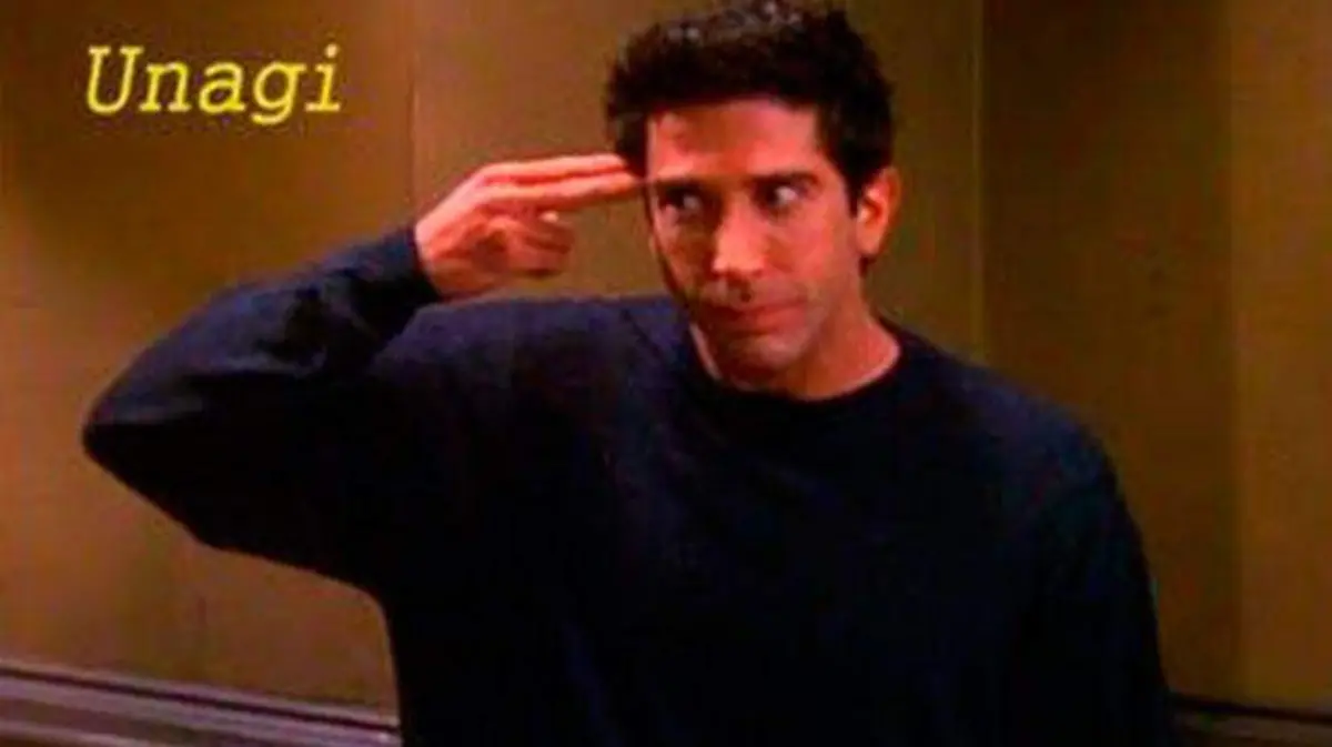 Friends_David-Schwimmer3