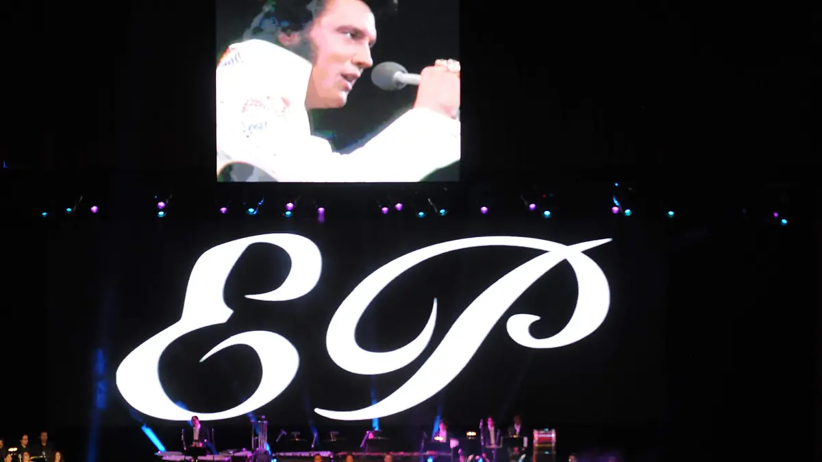 Elvis en concierto1