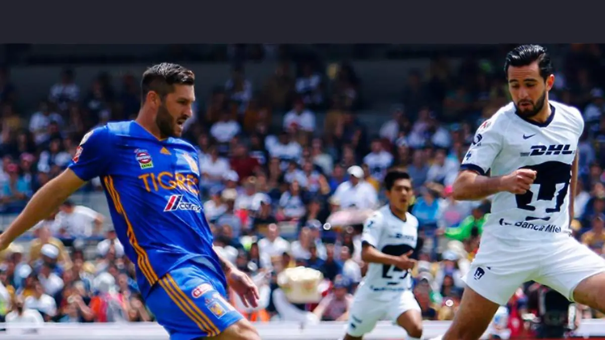 tigres-pumas
