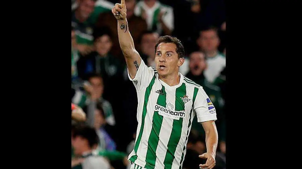 guardado