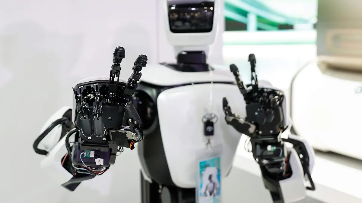Robot