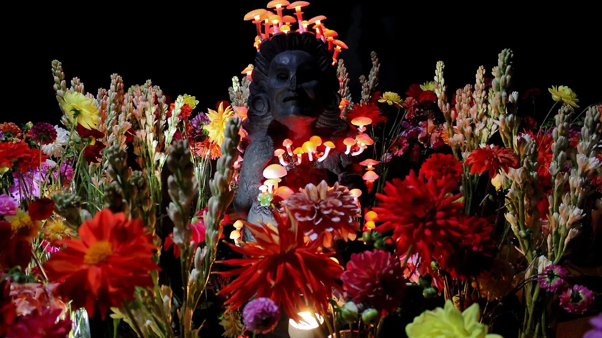 Instalación Xochipilli