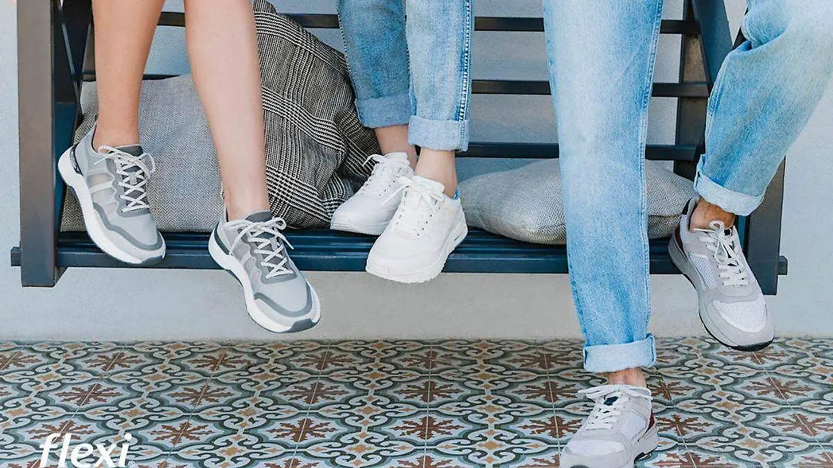 La Comodidad Nos Mueve _ Flexi 