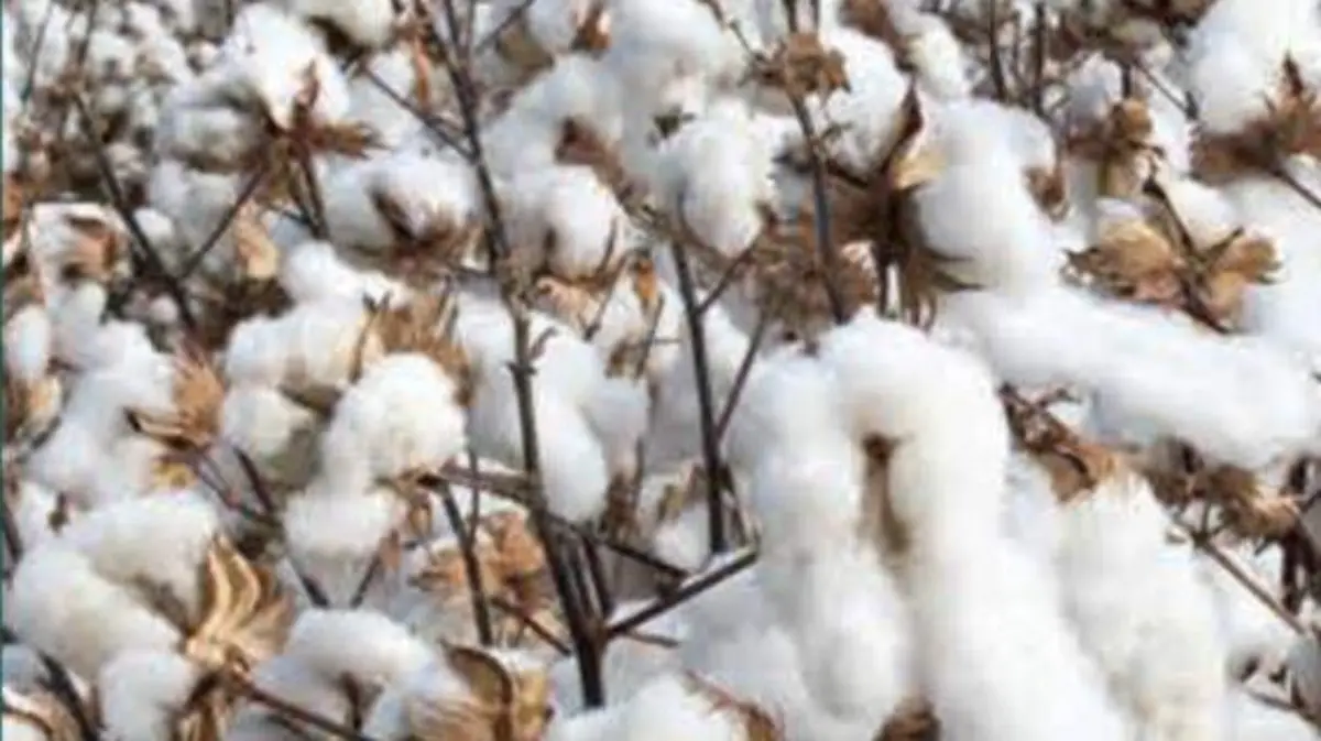 Conoce las propuestas para transformar tu armario en uno más sustentable 