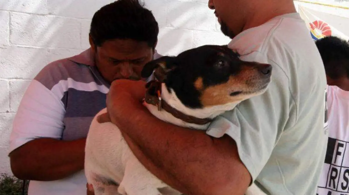 vacunas antirrábicas CUARTOSCURO