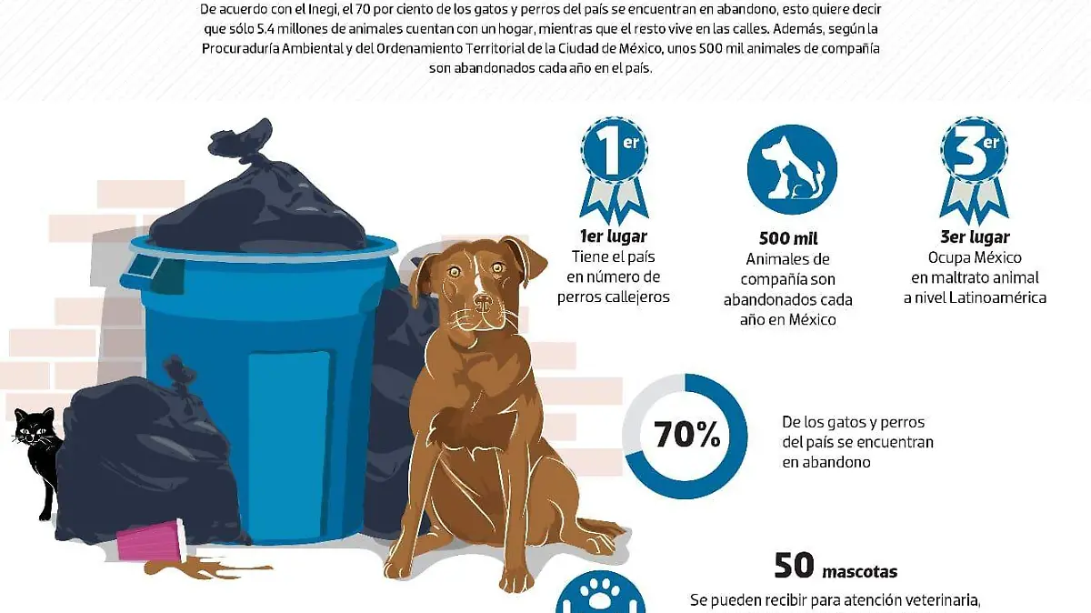 méxico cruel con animales bo