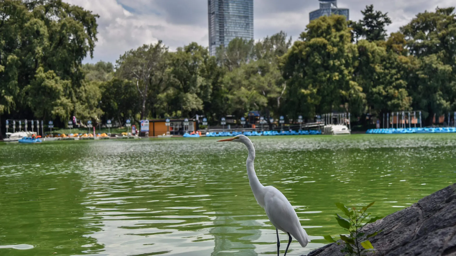 Bosque-chapultepec