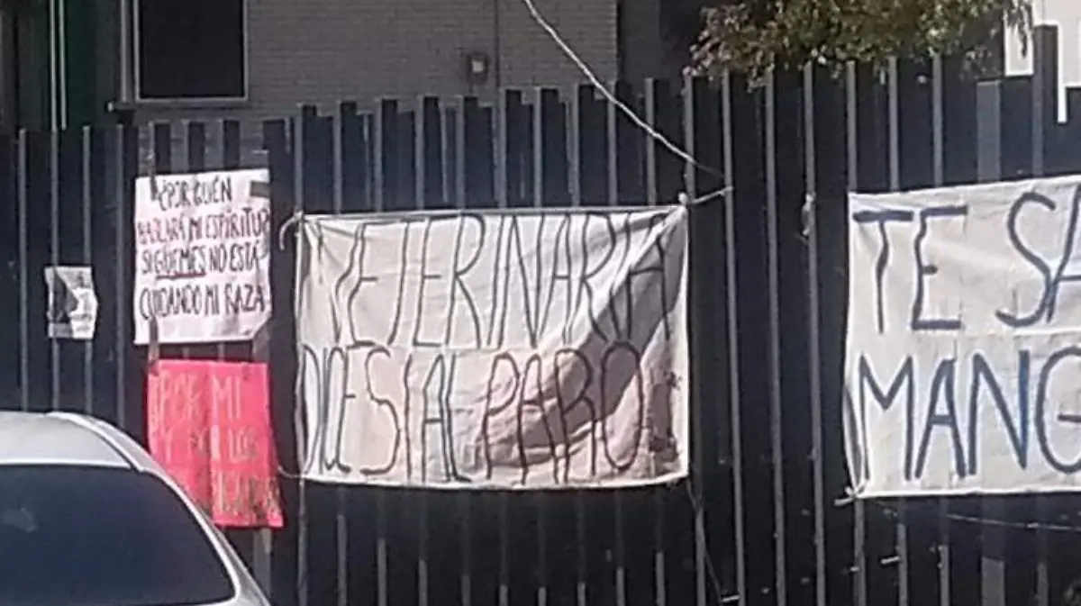 paro veterinaria unam