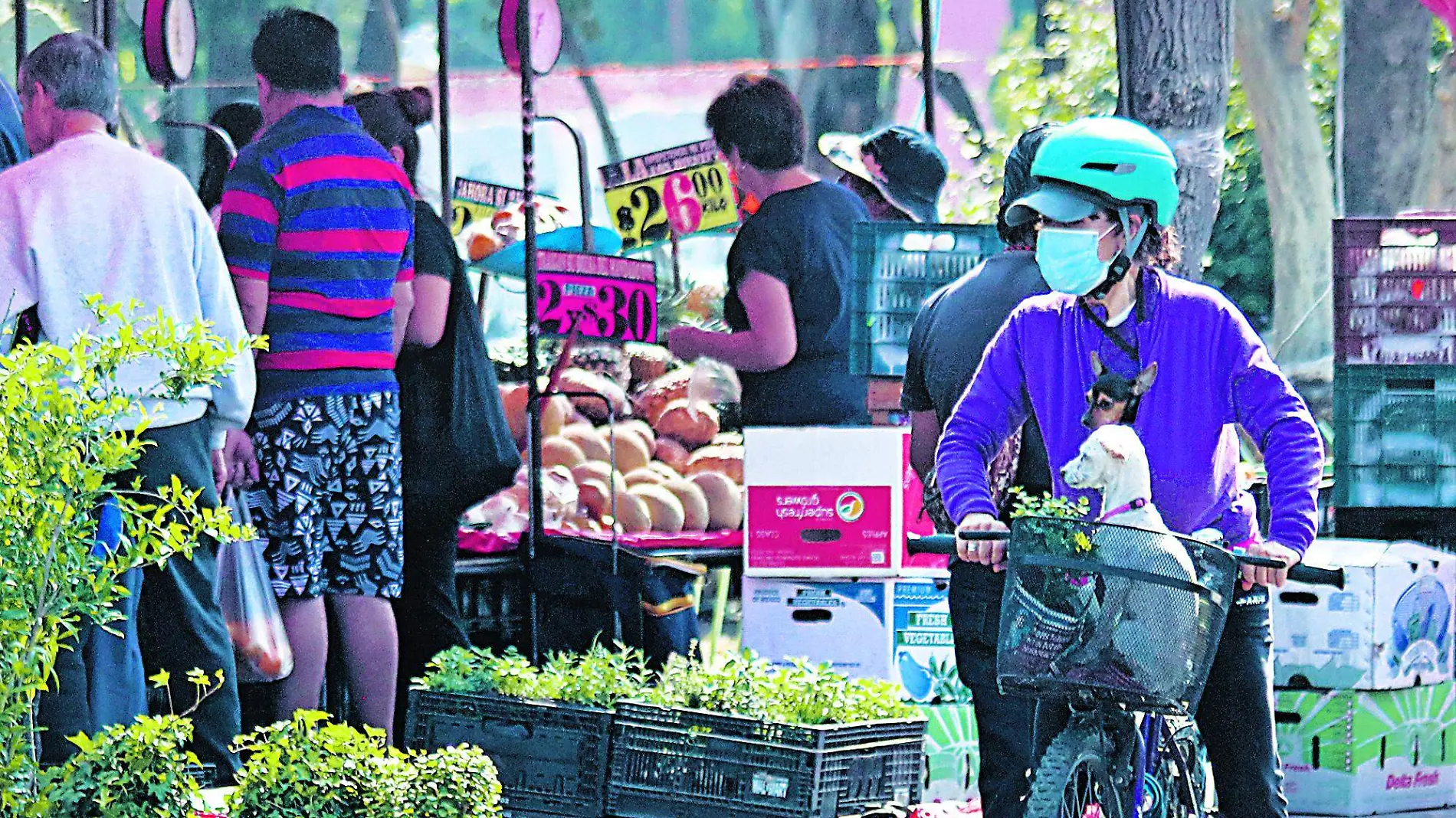 Tianguis