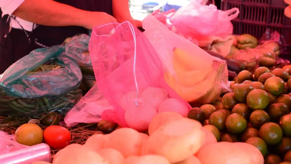 costalitos-bolsas-federico