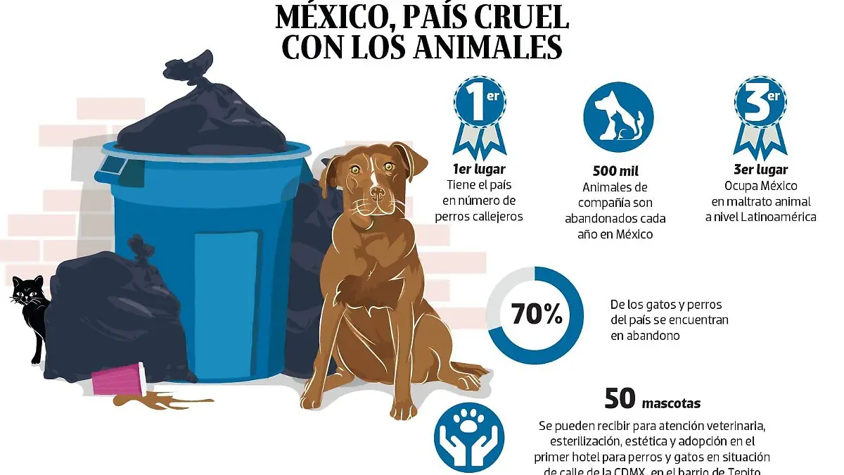 Copia de WhatsApp Image 2023-05-30 at 12.42.50 AM