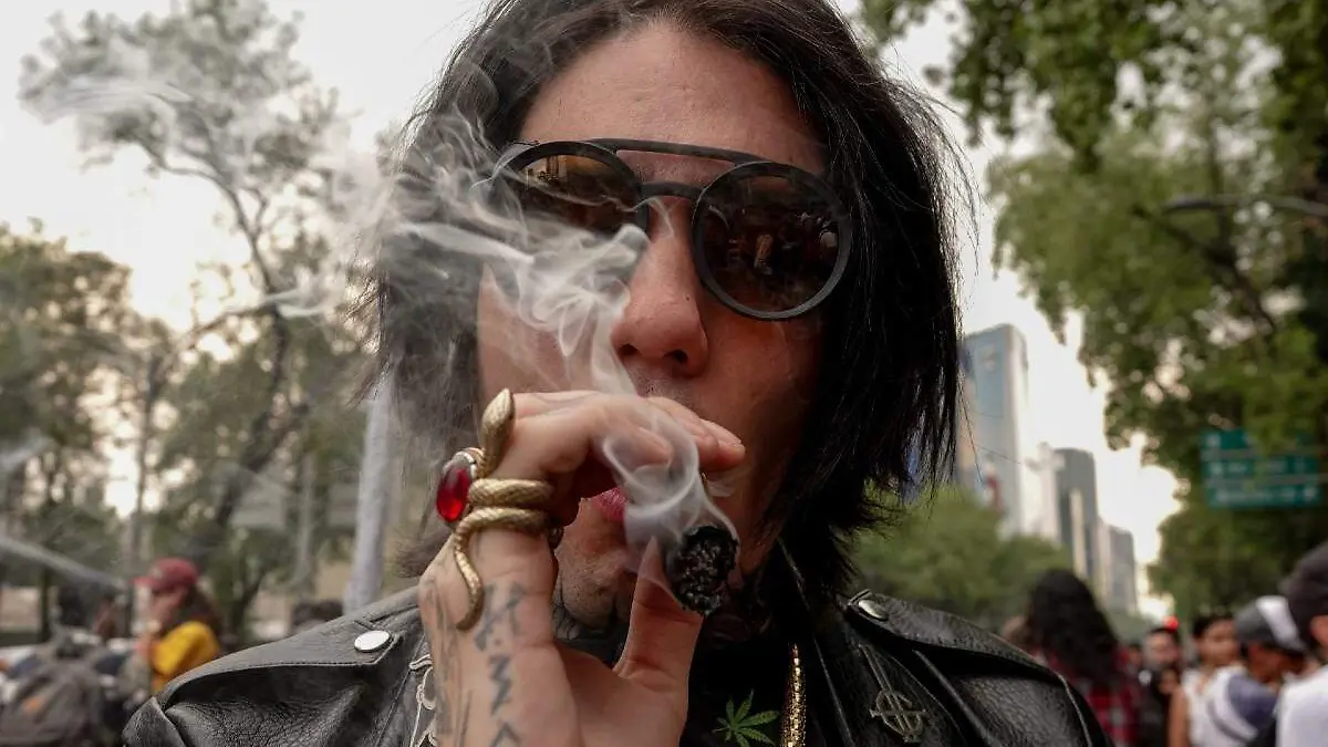 rEGULARIZACIÓN DE LA MARIHUANA 