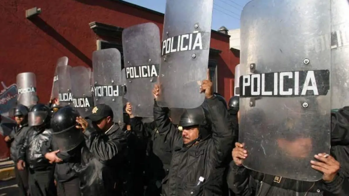 san-salvador-atenco (2)