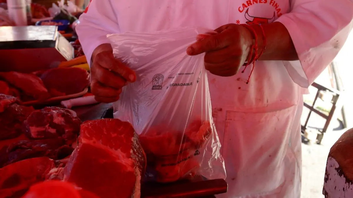 bolsas-biodegradables-federicox