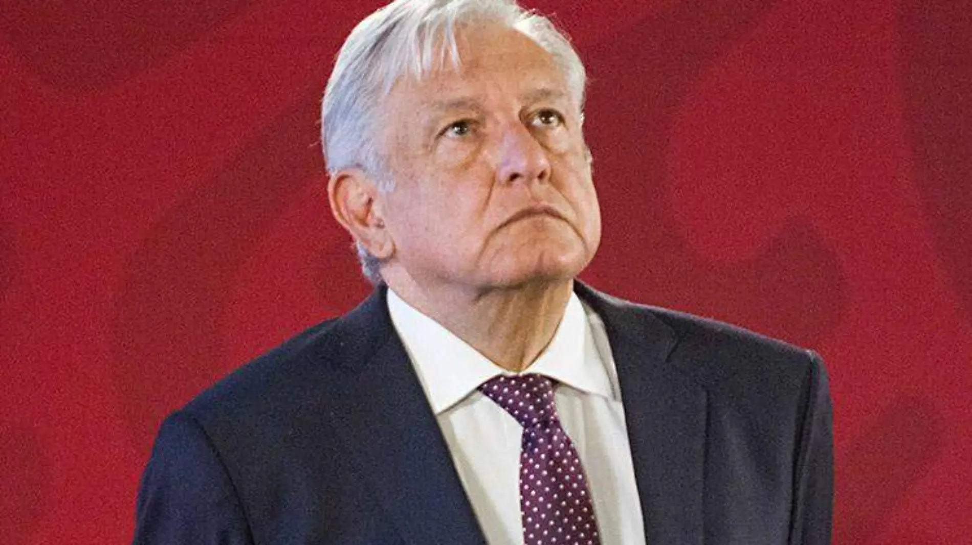 amlo