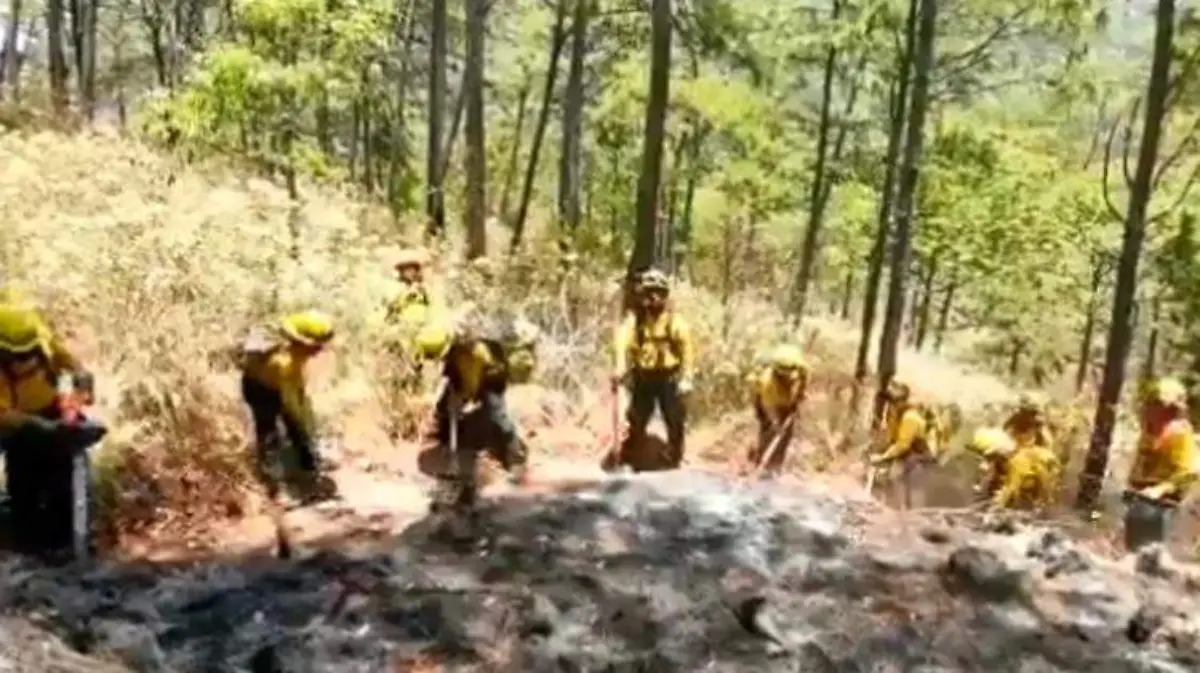 incendios