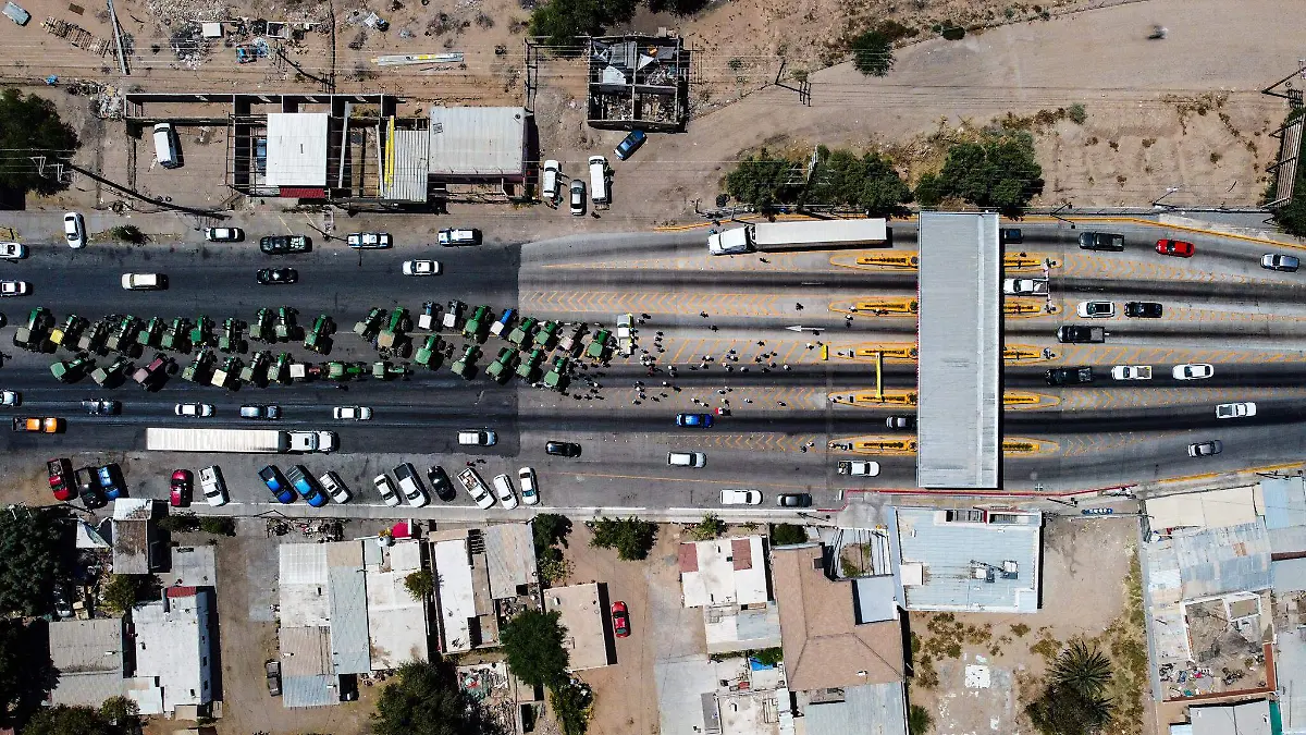 TRIGEROS LA VOZ DE LA FRONTERA. FOTO SERGIO CARO LA VOZ DE LA FRONTERA (4)