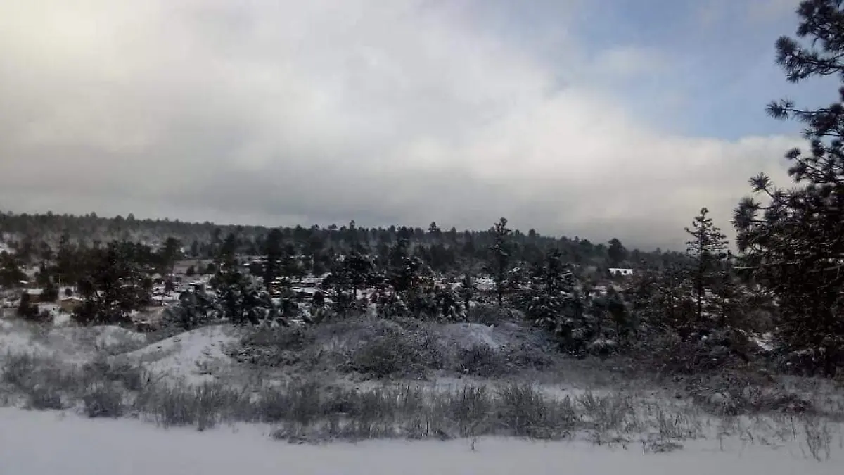 frente-frío5-caida-de-nieve